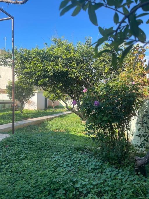 The Chill Casa Villa Kokkini Hani Dış mekan fotoğraf