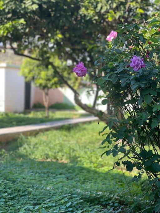 The Chill Casa Villa Kokkini Hani Dış mekan fotoğraf